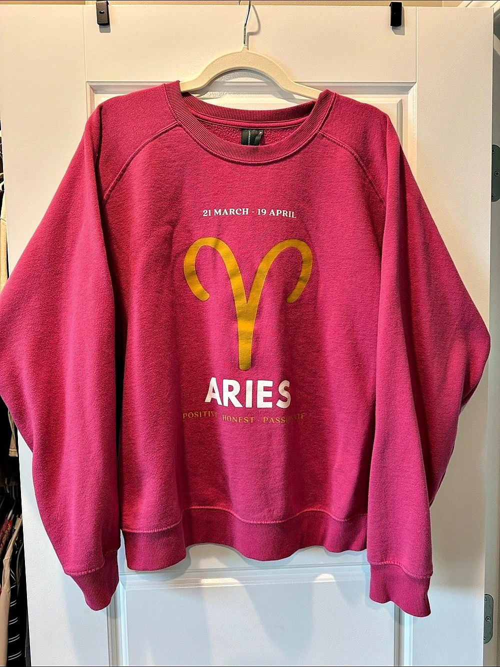 Anthropologie The Zodiac Sweatshirt by Catherine O'Sullivan Pink XL